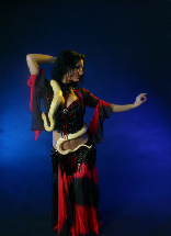 Bellydancer